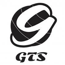 g GTS 及圖