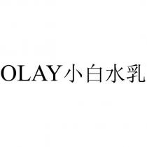 OLAY 小白水乳