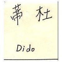 蒂杜 DIDO 