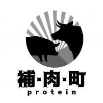 補肉町 protein 及圖