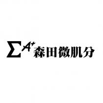 森田微肌分Σ A+