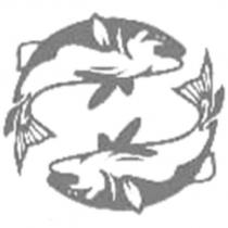 魚圖