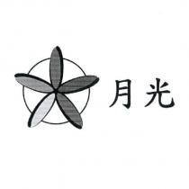 月光及圖