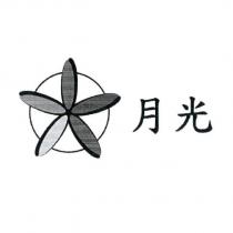 月光及圖