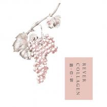 醇白晳 REVER COLLAGEN 及圖