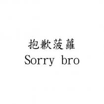 抱歉菠蘿 Sorry bro