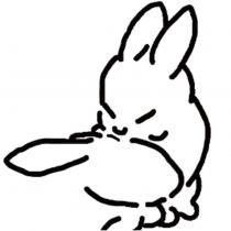 兔子圖