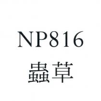 NP816 蟲草