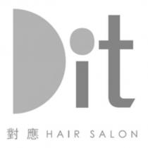 對應 HAIR SALON 與 Dit 設計字