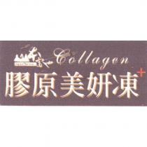 山本富也 膠原美妍凍 Collagen 及圖