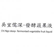 吳宜儒深-發酵蔬果液 Chi Ngo deep- fermented vegetable fruit liquid