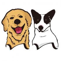 犬圖