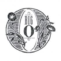 BIG O 及設計圖