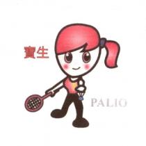 寶生 PALIO 及圖