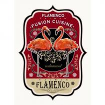 紅鶴 Flamenco 及圖