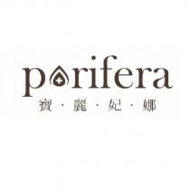 porifera 寶麗妃娜及設計圖