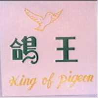 鴿王 KING OF PIGEON