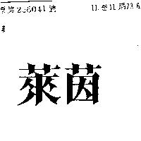 萊茵