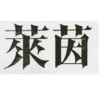 萊茵