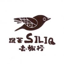 跟著 SILIQ 去旅行設計字及圖