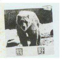 野熊