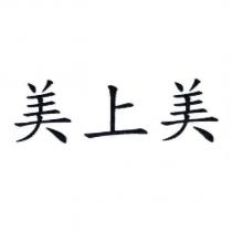 美上美