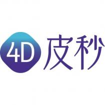 4D 皮秒及圖