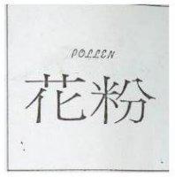 花粉 POLLEN