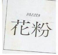 花粉 POLLEN