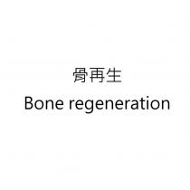 骨再生 Bone regeneration