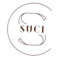 SUCI 及 CS 設計圖
