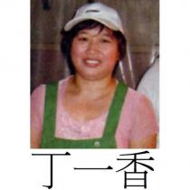 丁一香及圖