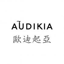 AUDIKIA 歐迪起亞設計字
