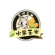 寬心玉米 及圖
