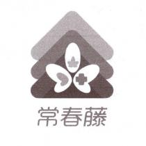 常春藤及圖