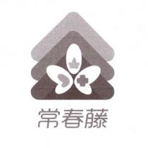 常春藤及圖