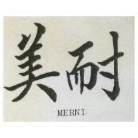 美耐 MERNI 