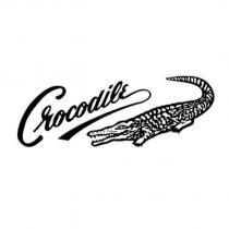 Crocodile 及鱷魚圖
