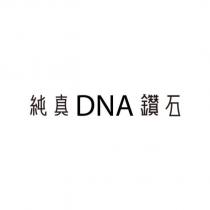 純真 DNA 鑽石設計字