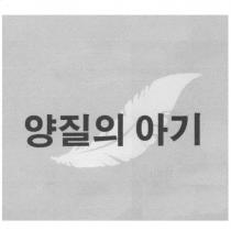 質娃設計圖
