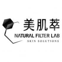 美肌萃 NATURAL FILTER LAB SKIN SOLUTIONS 及圖
