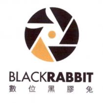 數位黑膠兔 BLACKRABBIT 及圖