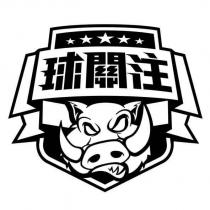 球關注及圖