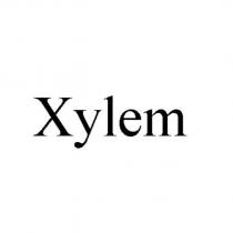 Xylem