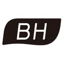 BH 及設計圖
