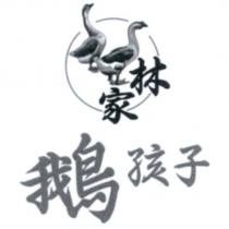 林家鵝孩子及圖