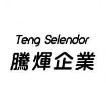 騰煇企業 Teng Selendor