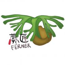 蕨匠 FERNER 和圖