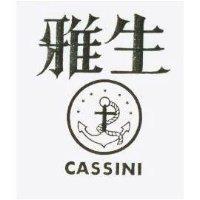 雅生及圖 CASSINI 