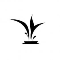 Torch Design